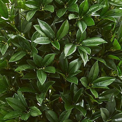 nearly natural 57-in. UV Resistant Bay Leaf Cone Topiary Tree in Slate Planter