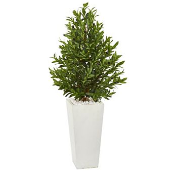 nearly natural 4-ft. UV Resistant Olive Cone Topiary Artificial Tree in White Planter