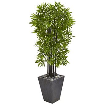 nearly natural 61 in UV Resistant Bamboo Artificial Tree with Black Trunks in Slate Planter