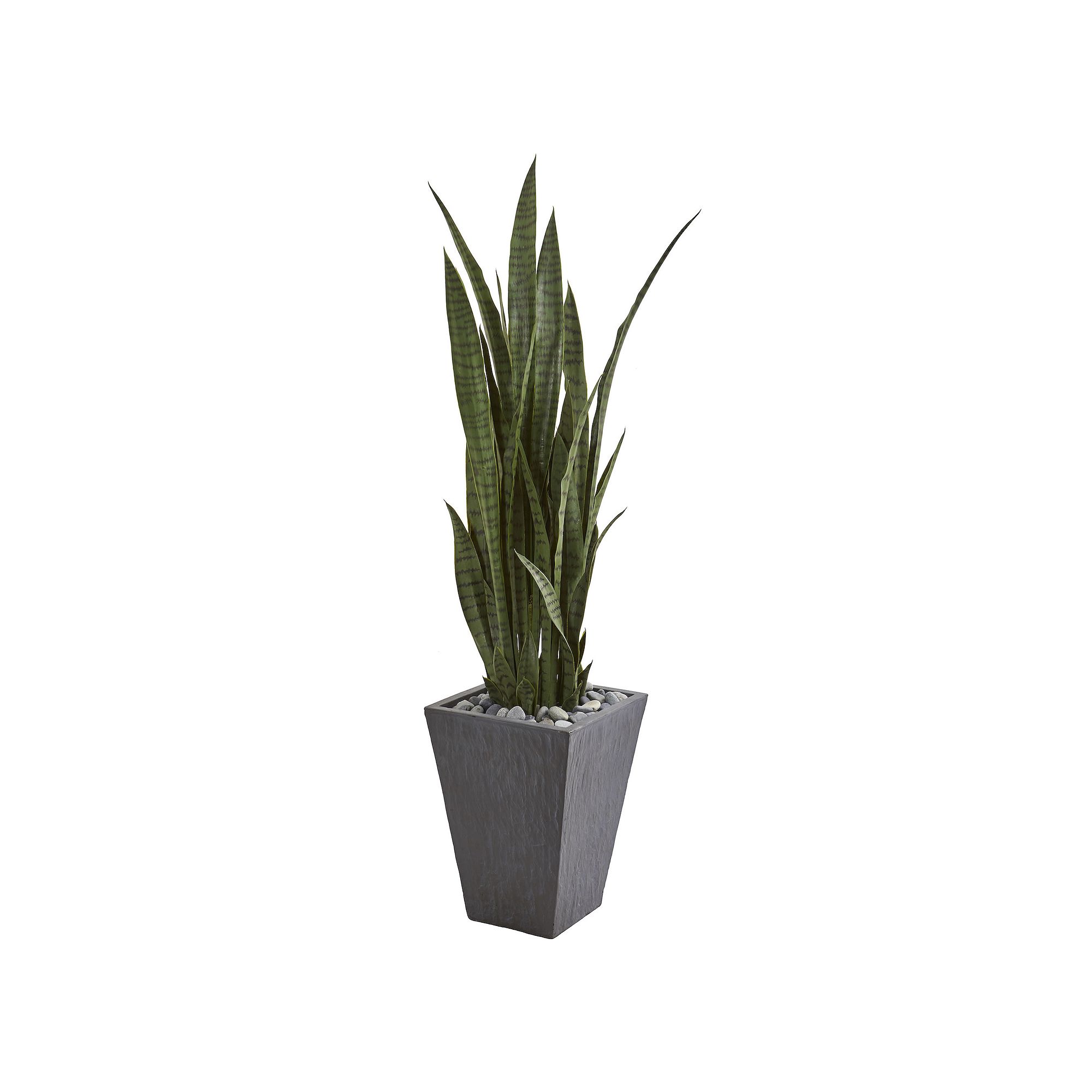nearly natural 57-in. Sansevieria Artificial Plant in Slate Planter, Green