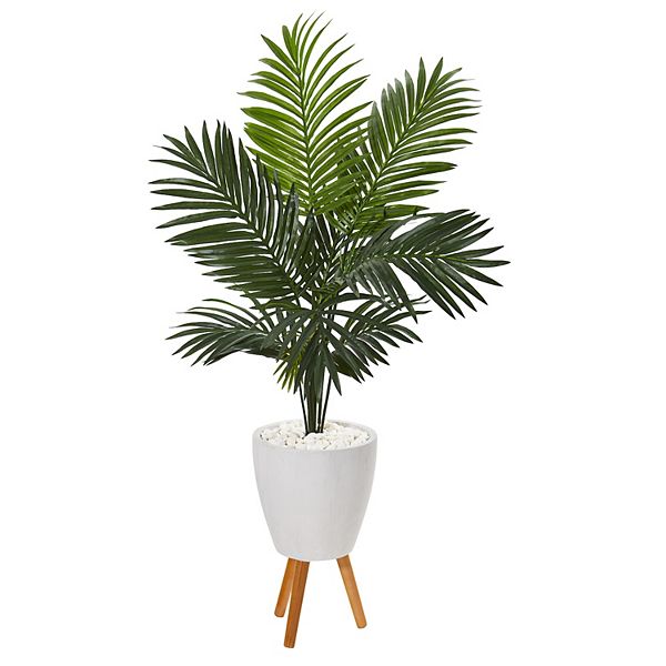 nearly natural 61-in. Paradise Palm Artificial Tree in White Planter with  Stand