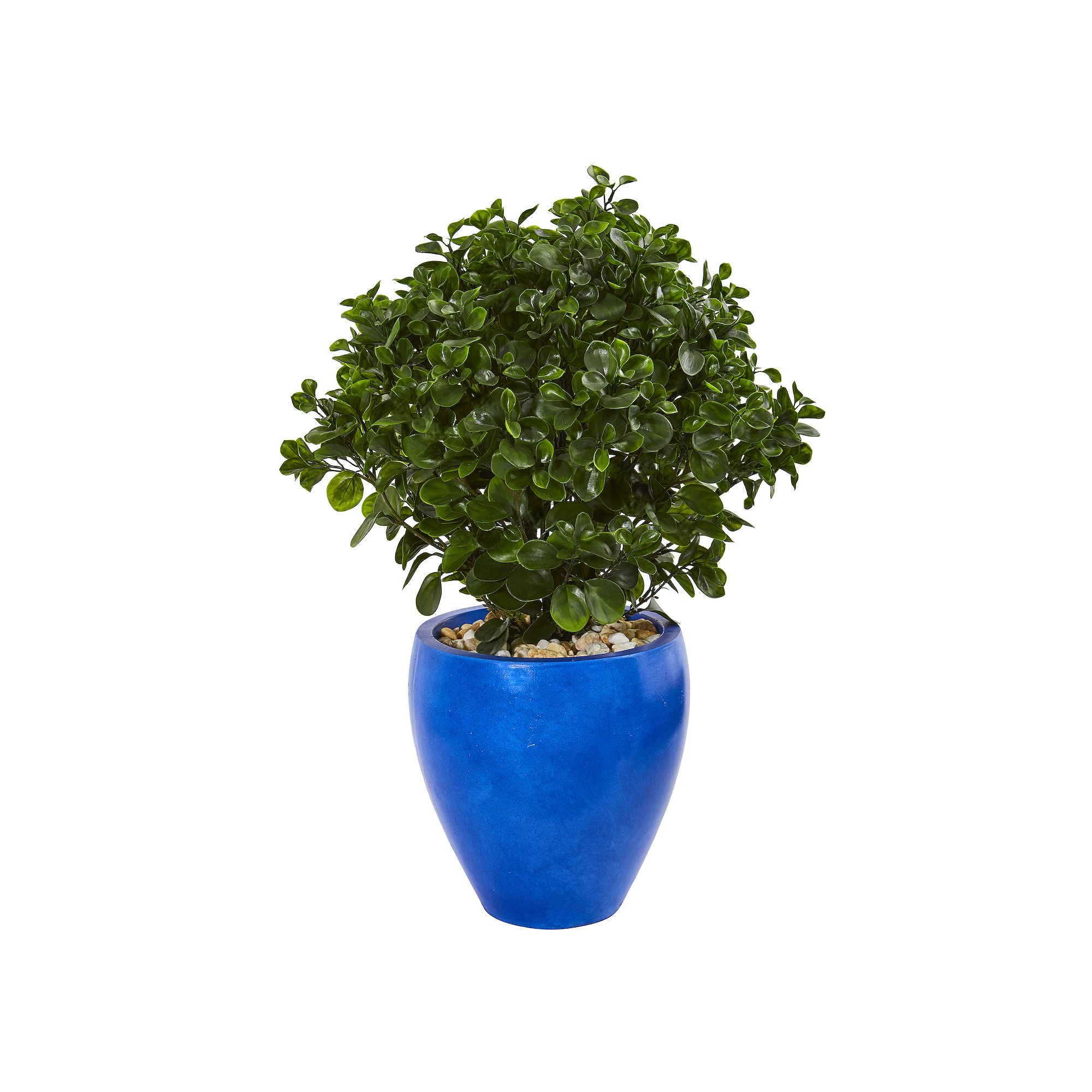 nearly natural 32-in. UV Resistant Peperomia Artificial Plant in Blue Plant