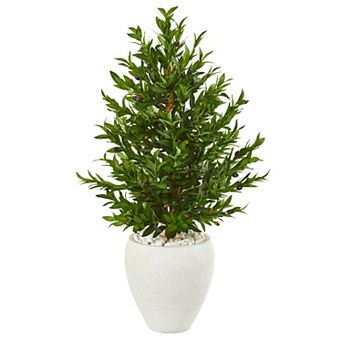 nearly natural 3.5-ft. UV Resistant Olive Cone Topiary Artificial Tree in White Planter