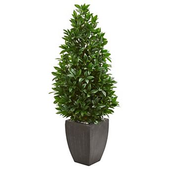 nearly natural 56 in UV Resistant Bay Leaf Cone Topiary Artificial Tree in Black Planter