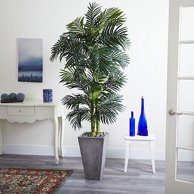nearly natural 7-ft. Golden Cane Artificial Palm Tree in Cement Planter