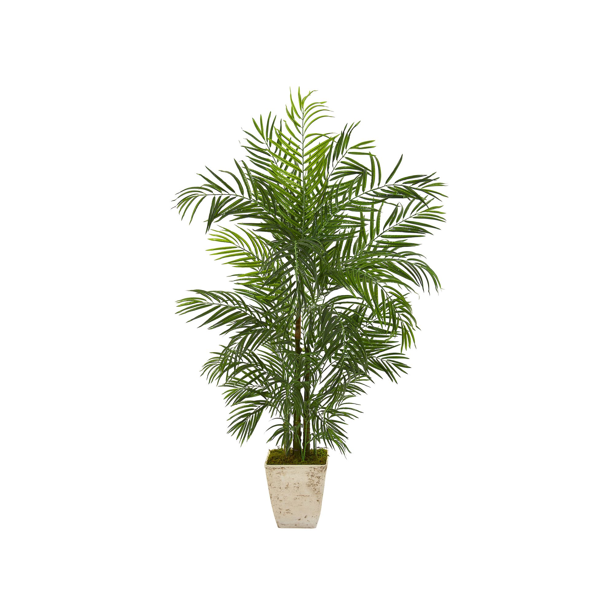 nearly natural 63-in. UV Resistant Areca Artificial Palm Tree in Country Wh