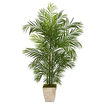 nearly natural 63 in UV Resistant Areca Artificial Palm Tree in Country White Planter