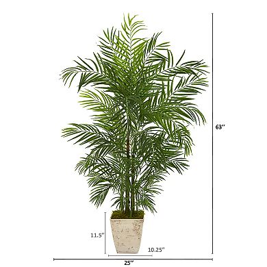 nearly natural 63-in. UV Resistant Areca Artificial Palm Tree in Country White Planter