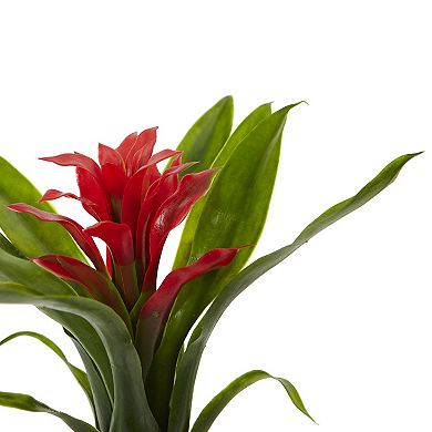nearly natural 6-pc. 11-in. Bromeliad Artificial Flower Stem Set