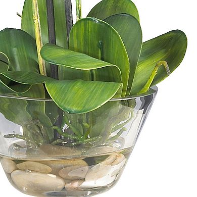 nearly natural Phalaenopsis with Glass Vase Silk Flower Arrangement