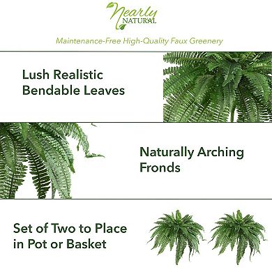 nearly natural 2-pc. 48-in. Boston Fern Set