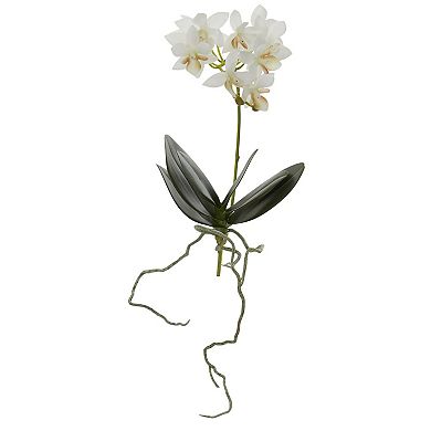 nearly natural 6-pc. 13-in. Mini Orchid Phalaenopsis Artificial Flower Set
