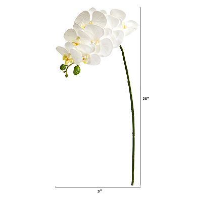 nearly natural 6-pc. 28-in. Orchid Phalaenopsis Artificial Flower Stem Set