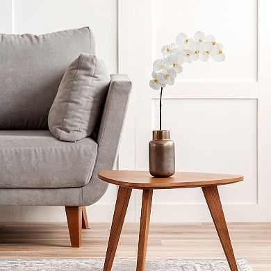 nearly natural 6-pc. 32-in. Phalaenopsis Orchid Artificial Flower Set