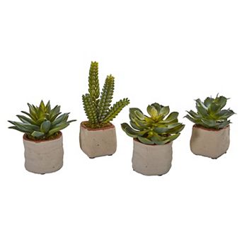 nearly natural 4 pc Mixed Succulent Artificial Plant Set