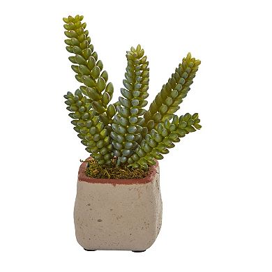 nearly natural 4-pc. Mixed Succulent Artificial Plant Set