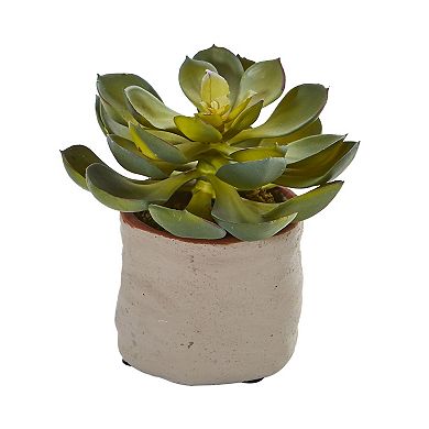 nearly natural 4-pc. Mixed Succulent Artificial Plant Set