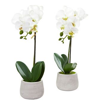 nearly natural 2 pc Phalaenopsis Orchid Artificial Arrangement Set