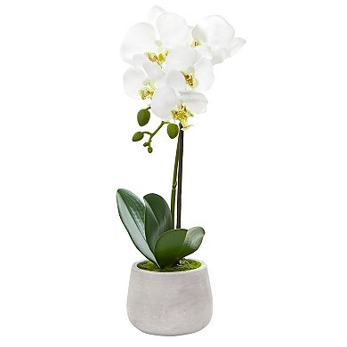 nearly natural 2-pc. Phalaenopsis Orchid Artificial Arrangement Set