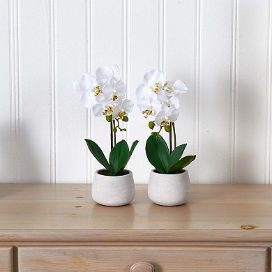 nearly natural 2-pc. Phalaenopsis Orchid Artificial Arrangement Set