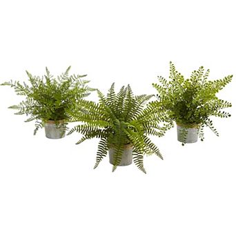 nearly natural 3 pc 14 in Assorted Ferns with Planter Artificial Plant Set