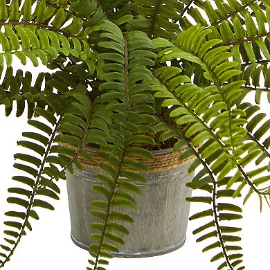 nearly natural 3-pc. 14-in. Assorted Ferns with Planter Artificial Plant Set