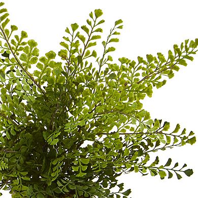 nearly natural 3-pc. 14-in. Assorted Ferns with Planter Artificial Plant Set