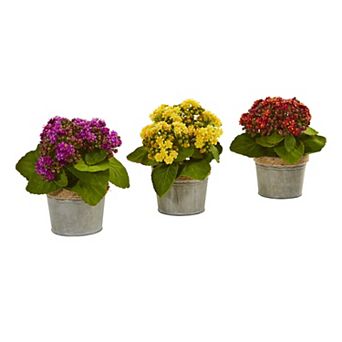 nearly natural 3 pc Kalanchoe Artificial Arrangements Set