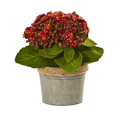 nearly natural 3-pc. Kalanchoe Artificial Arrangements Set