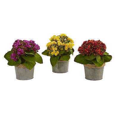 nearly natural 3-pc. Kalanchoe Artificial Arrangements Set