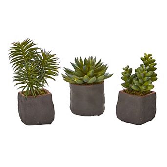 nearly natural 3 pc Mixed Succulent Trio Artificial Plant Set