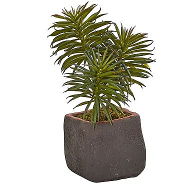 nearly natural 3-pc. Mixed Succulent Trio Artificial Plant Set