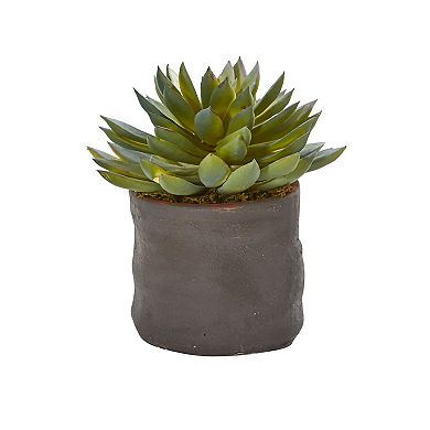 nearly natural 3-pc. Mixed Succulent Trio Artificial Plant Set