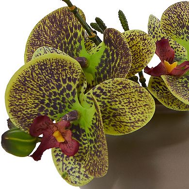 nearly natural 3-pc. 7-in. Phalaenopsis Orchid Artificial Arrangement Set