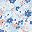 Light Blue Floral
