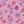 Pink Pressed Floral