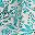Aqua Whimsy Jungle