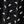 Black Modern Palm