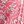 Coral Stamped Tile