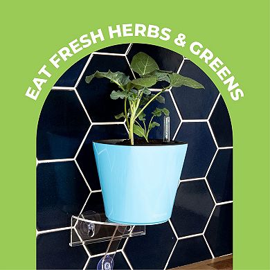 Window Shelf For Plants And Self Watering Planter Bundle, Veg Ledge Shelf And Aquaphoric Planter Kit