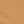 Canyon Camel