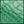 Green Croc