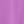 Bright Orchid