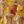 Tan Wine Multi