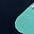 Navy Mint