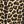 Leopard Print