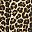 Leopard Print