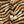 Tiger Print