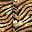 Tiger Print