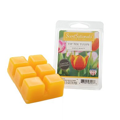 Scentsationals Tip Toe Tulip 2.5 oz Fragrant Wax Melts - 4 Pack